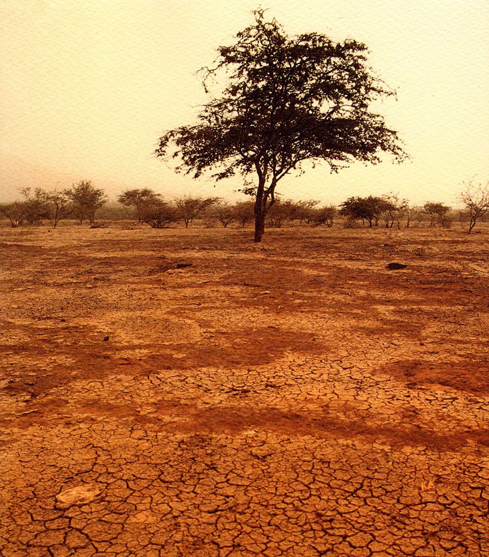 Μήνυμα του ΙΚΙ  Με αφορμή την παγκόσμια ημέρα για την καταπολέμηση της ερημοποίησης