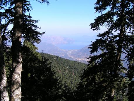 11 &Delta;&epsilon;&kappa;&epsilon;&mu;&beta;&rho;ί&omicron;&upsilon;: &Pi;&alpha;&gamma;&kappa;ό&sigma;&mu;&iota;&alpha; &Eta;&mu;έ&rho;&alpha; &Beta;&omicron;&upsilon;&nu;&omicron;ύ