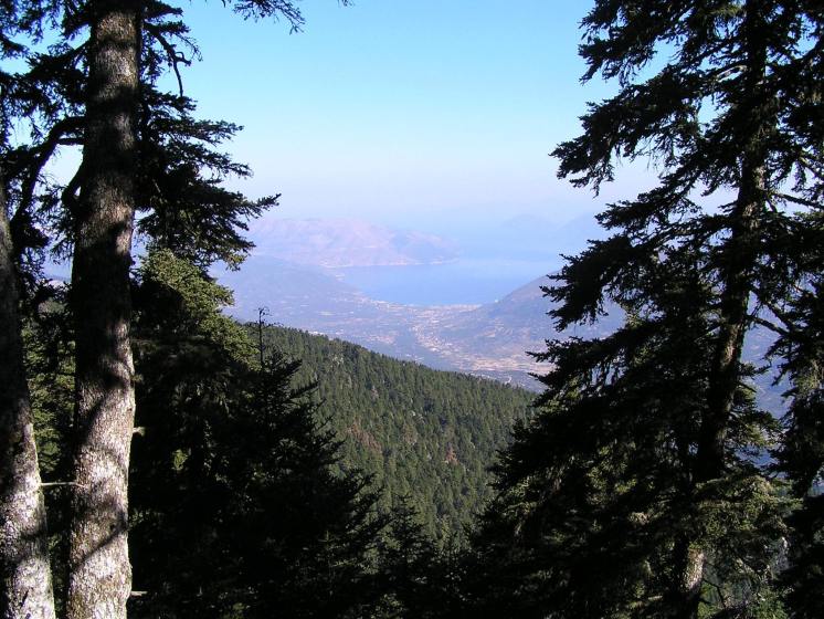 &Tau;&omicron; &Iota;&Kappa;&Iota; &gamma;&iota;&alpha; &tau;&omicron;&nu; &Epsilon;&theta;&nu;&iota;&kappa;ό &Delta;&rho;&upsilon;&mu;ό &tau;&omicron;&upsilon; &Alpha;ί&nu;&omicron;&upsilon; &kappa;&alpha;&iota; &tau;&iota;&sigmaf; &pi;&epsilon;&rho;&iota;&omicron;&chi;έ&sigmaf; Natura &sigma;&tau;&alpha; &nu;&eta;&sigma;&iota;ά &mu;&alpha;&sigmaf;