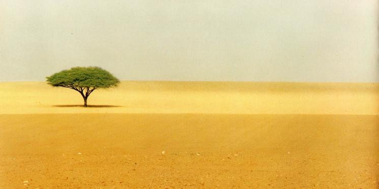 Μήνυμα του ΙΚΙ, με αφορμή την παγκόσμια ημέρα για την καταπολέμηση της ερημοποίησης